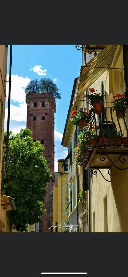 Hotel Casa Luba Lucca Esterno foto